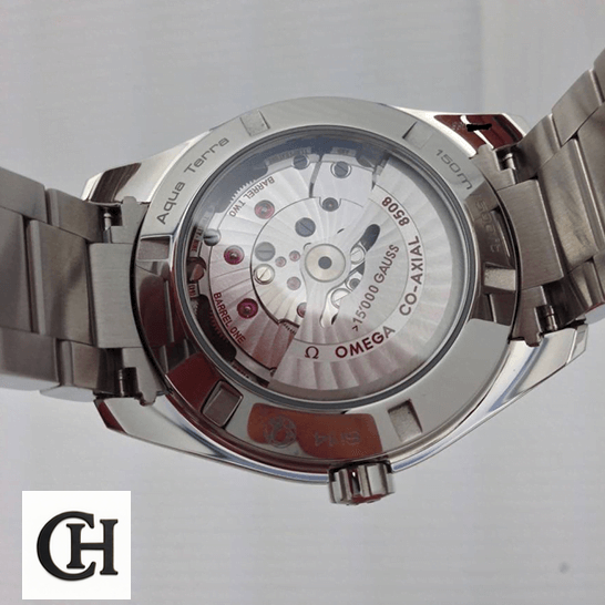Omega Co Axıal Aqua Terra Stainless Steel Case upside view