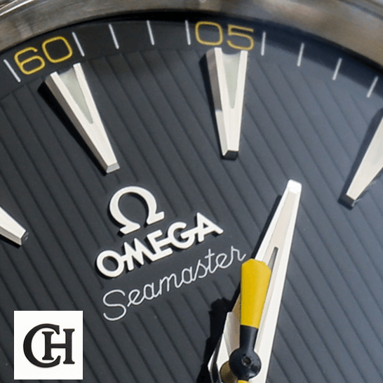 Omega Seamaster Black Dial 231.10.42.21.01.002