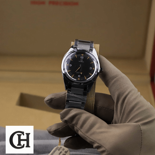 Omega Seamaster 220.10.38.20.01.002 Steel on the hand