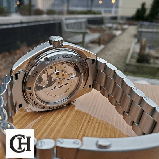 Omega Seamaster Professıonal Stainless Steel upside view