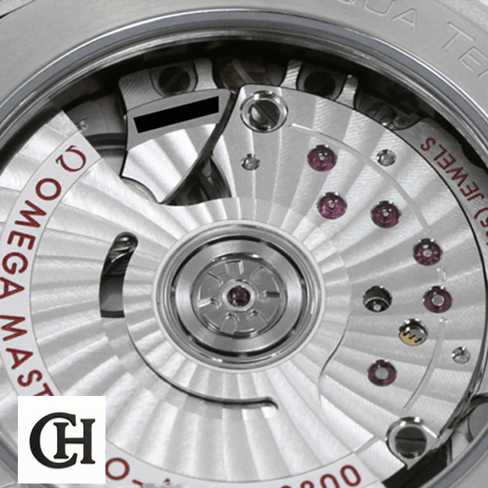 Omega Seamaster Aqua Terra Co-Axial Master Chronometer 220.13.38.20.02.001 Superior omega seamaster aqua terra steel 220.13.38.20 Omega Seamaster Co Axıal 220.13.38.20 mechanism view