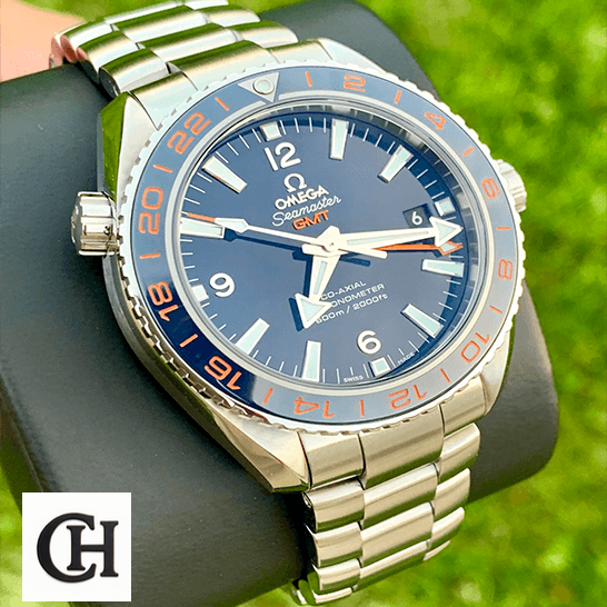 Omega Seamaster Gmt Blue Bezel & Dial steel grass background