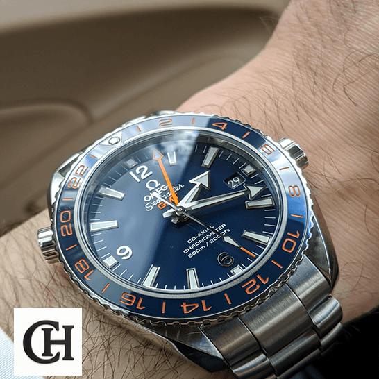 Omega Seamaster GMT Blue Dial Steel on the wrist