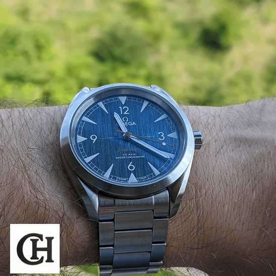 Omega Seamaster Blue Dial 220.10.40.20.03.001 Oyster on the hand grass background