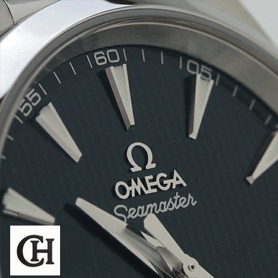 Omega Seamaster 231.10.39.21.03.002 Omega Seamaster Aqua Terra Black Dial close view