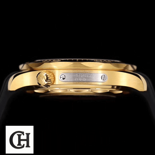 Omega Seamaster Gold Case 1/257 side view black background