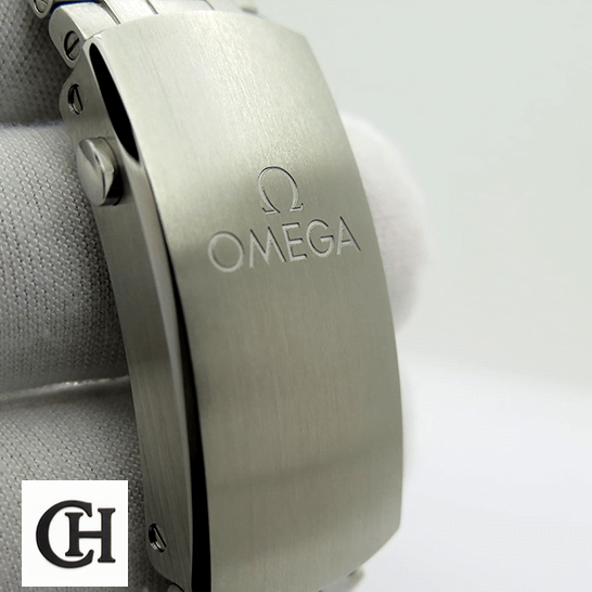 Omega Seamaster 233.30.41.21.01.001 Omega Stainless Steel Clasp on the hand white background
