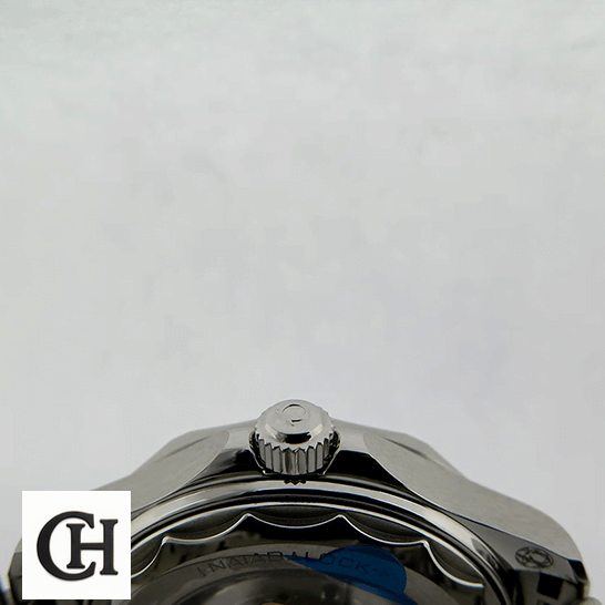Omega Seamaster 233.30.41.21.01.001 Omega 522_30_42_20_04_001 Stainless Steel Crown white background
