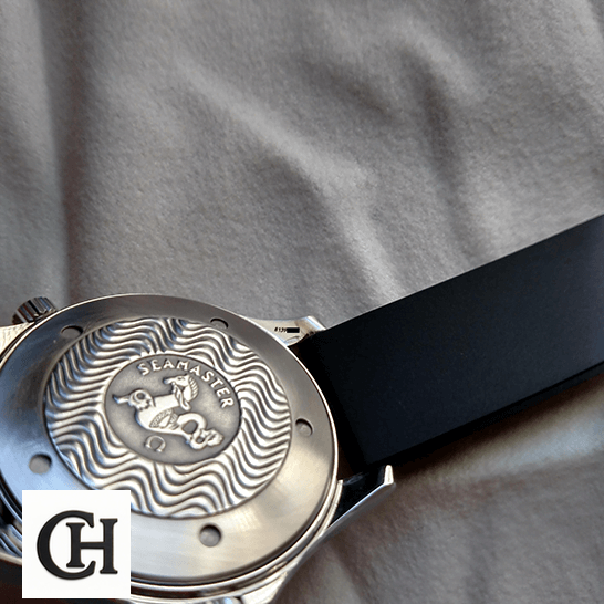 Omega Seamaster Aqua Terra 220.10.41.21.03.001 Omega Seamaster Professional Black Rubber Bracelet steel case